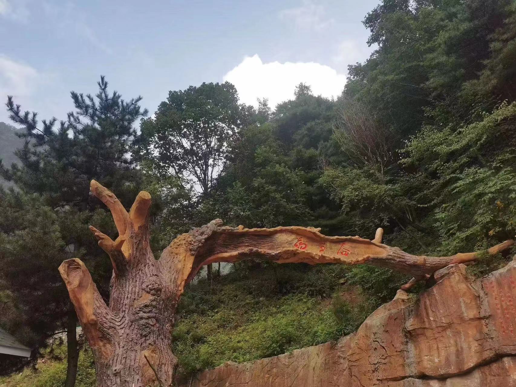 请欣赏心病妙药十全汤.物我两忘.身心健康.                军旅郎中、郭大平