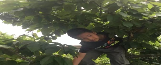 微信图片_20240527155745.jpg